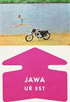 Motocykly JAWA 250, 350 typ 623, 633 Bizon
